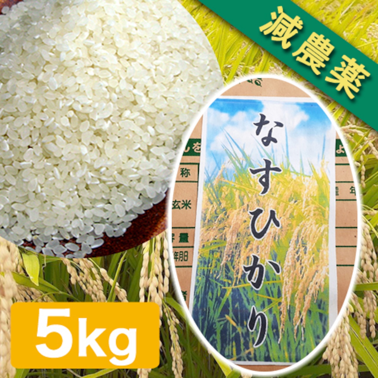 【完売御礼】令和6年産 喜連川のなすひかり