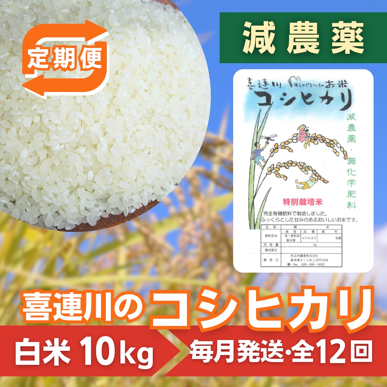 《注文受付を終了（予定数に達した為）》「【定期便：全12回】喜連川のコシヒカリ」