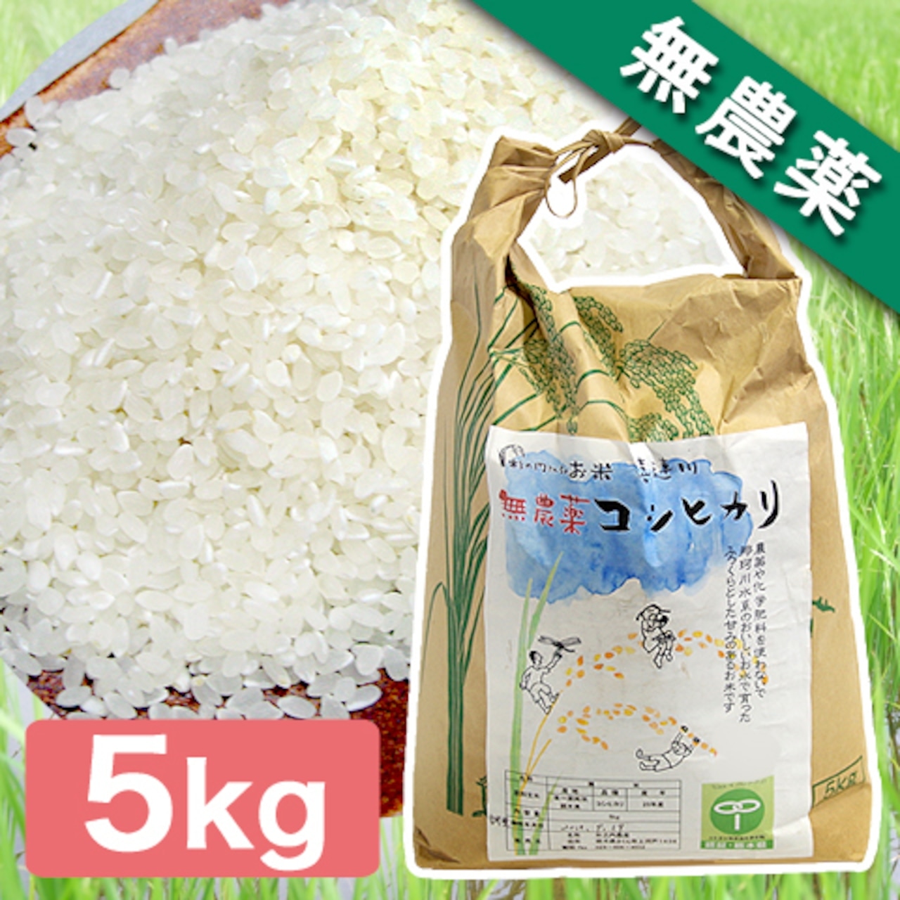 【完売御礼】令和6年産　無農薬　喜連川のコシヒカリ