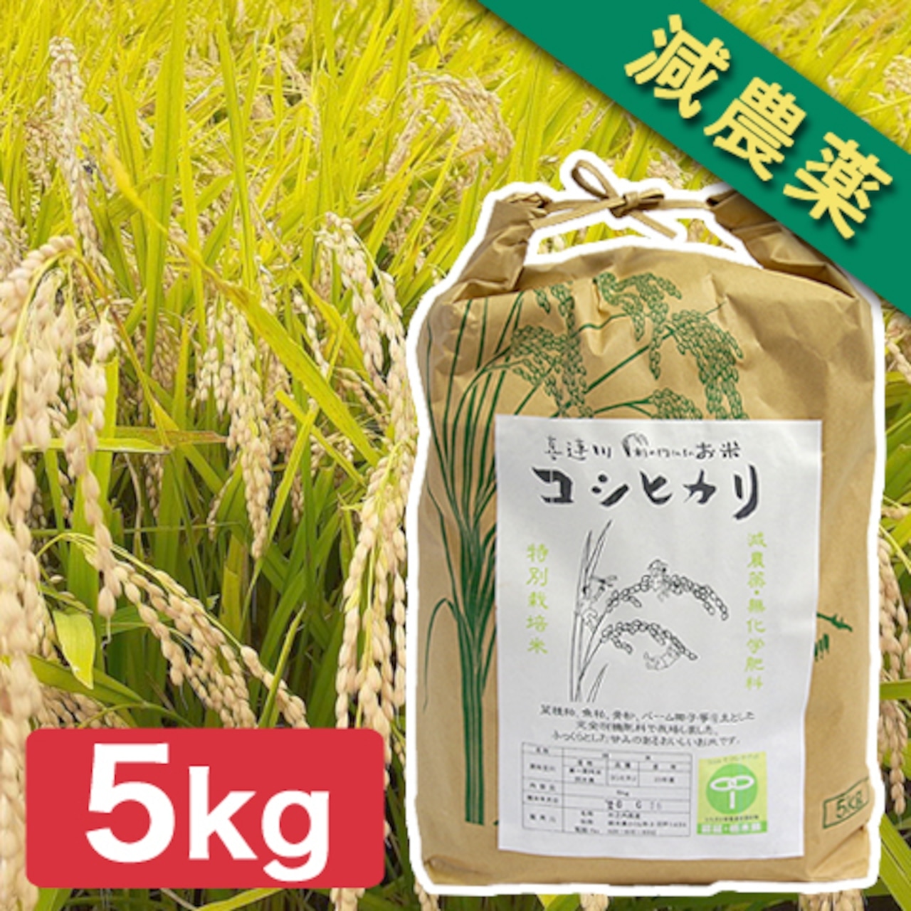 お米の価格改定のお知らせ