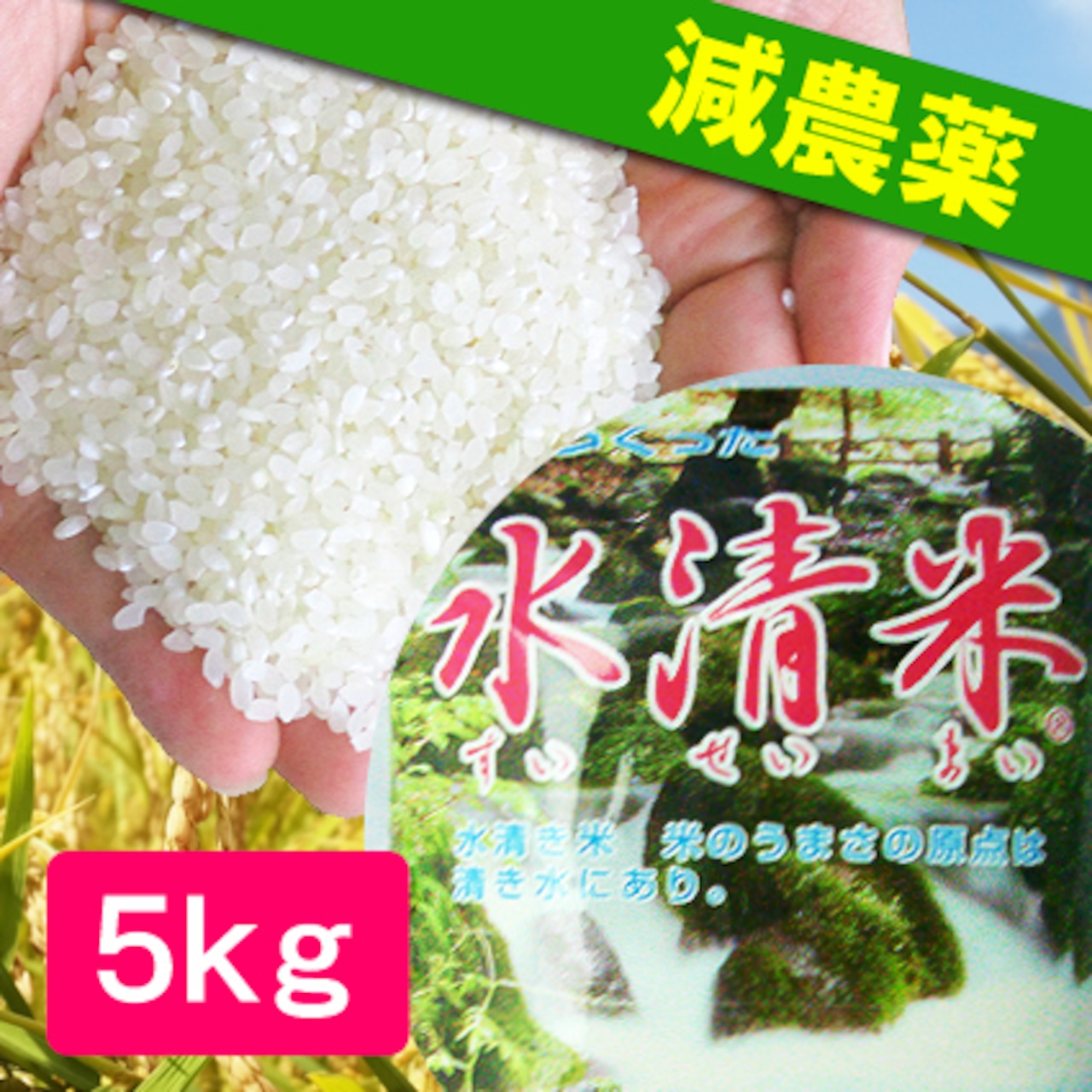 《令和6年産》「水精米・いかんべ米」ネット販売は完売御礼！