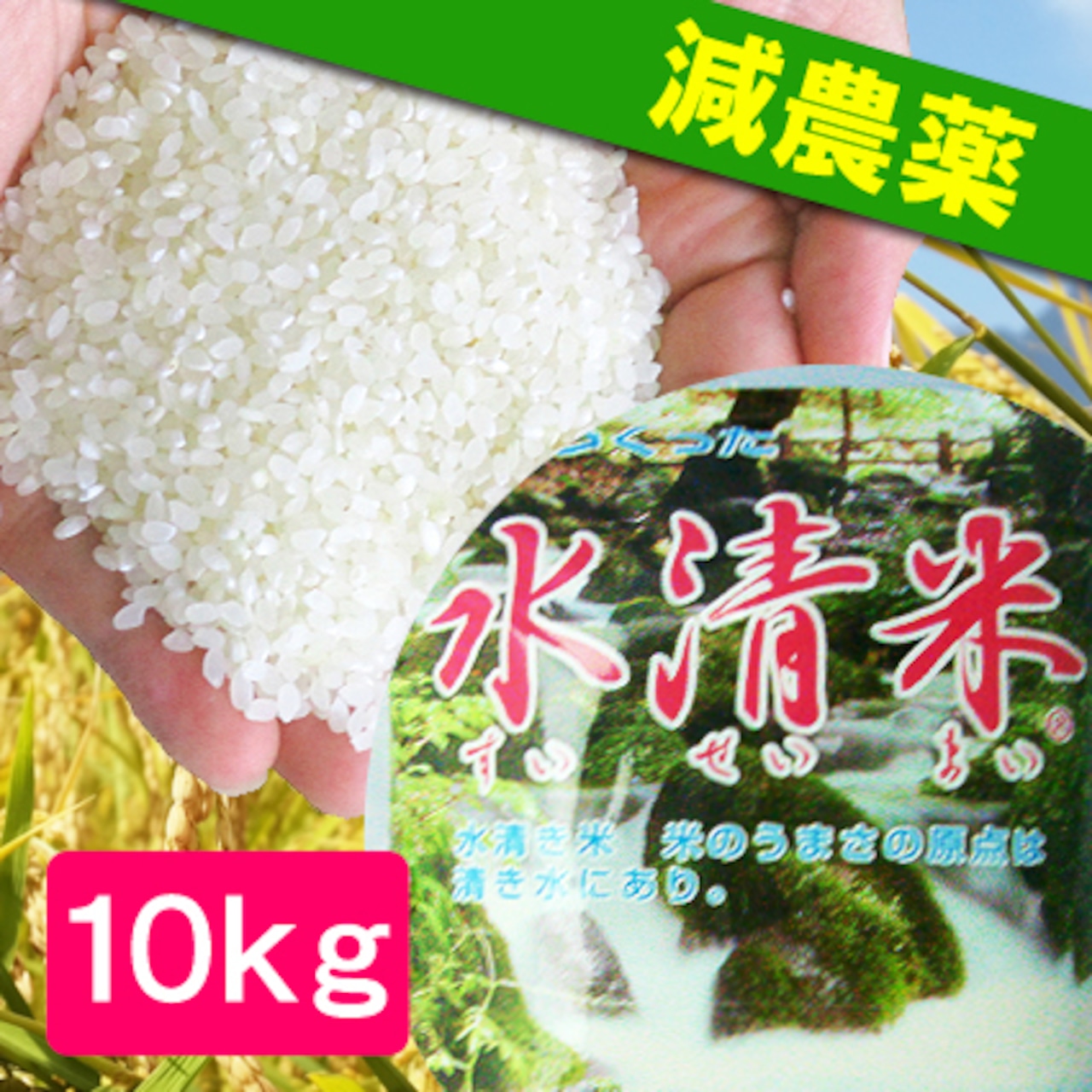 新米《令和7年産》の注文受付開始を9月10日(水)変更いたします!
