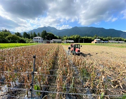 大暑　夏の日曜日　