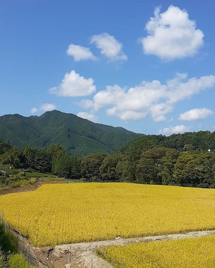 9月5日