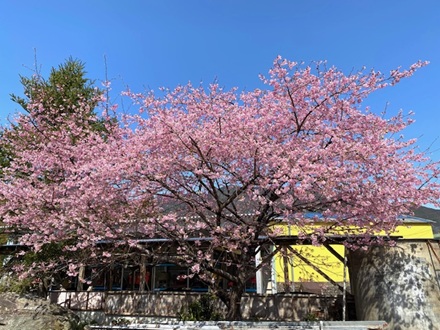 3月4日　3/5・6・7日分　ホームページご注文の発送について