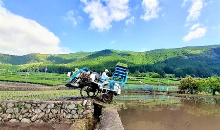 梅雨の晴れ間
