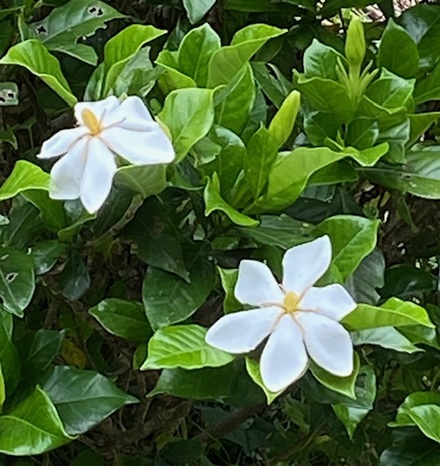 6月9日