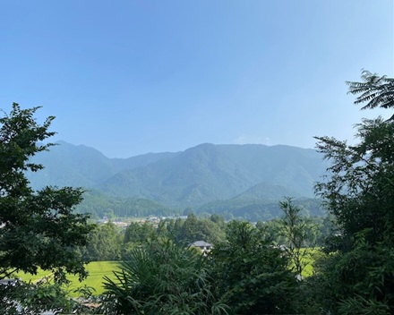 7月24日