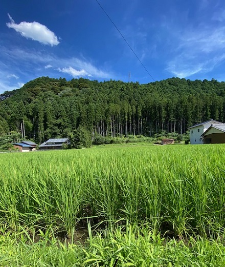 7月9日