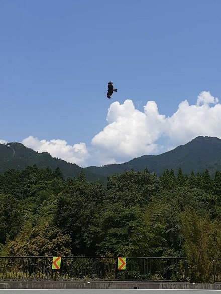 6月15日