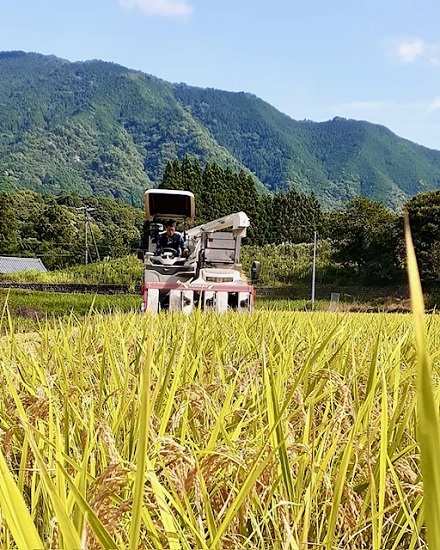 8月16日　新米販売について