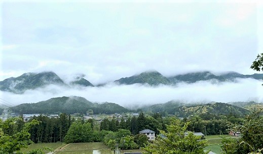 5月7日　雨