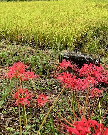 10月7日