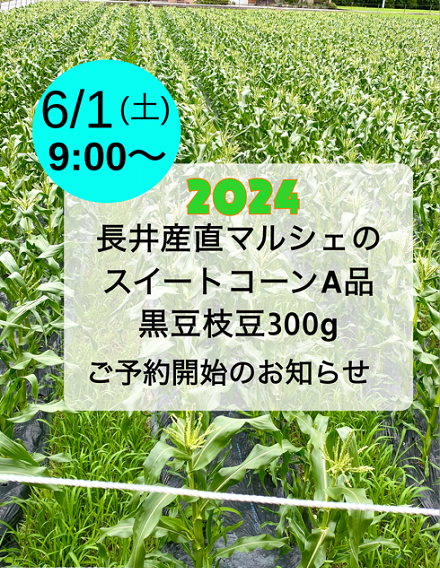 5月31日　粥見小学校五年生田植え体験学習の日