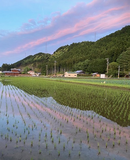 5月14日