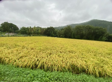 9月1日　長月