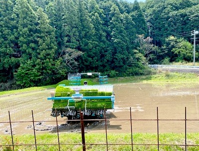令和5年4月18日　今年の田植え始まる