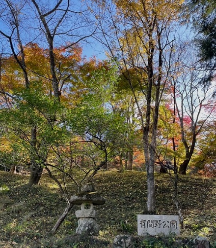11月30日