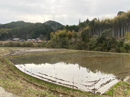 4月7日　水田始まる