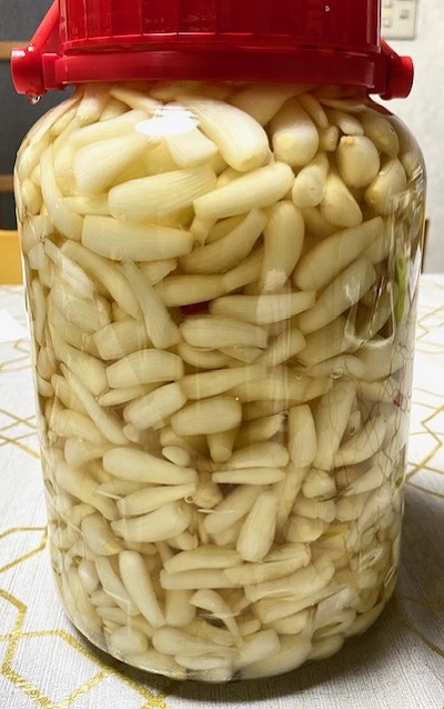 6月23日