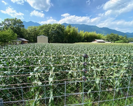 6月28日