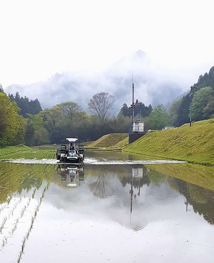 4月24日 八回目種籾まき