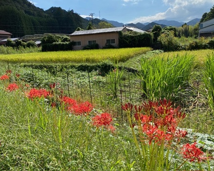 9月30日