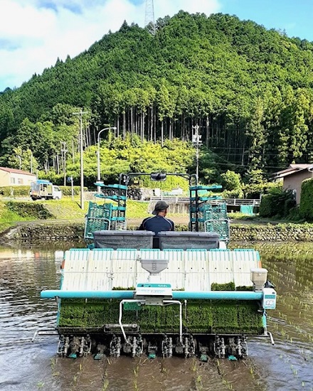 6月21日　夏至　梅雨入り　今年の田植え終了