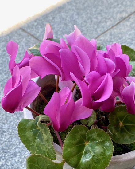 ４月30日