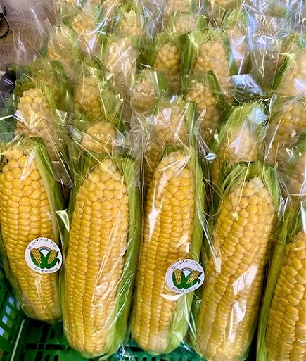 7月16日(日)　本日スイートコーン販売最終日！
