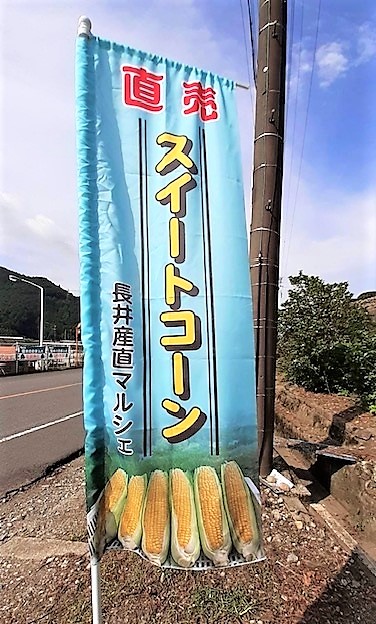 6月27日㈫　スイートコーンと黒豆枝豆の販売始めます。