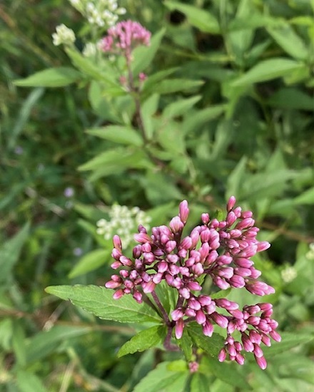 10月11日