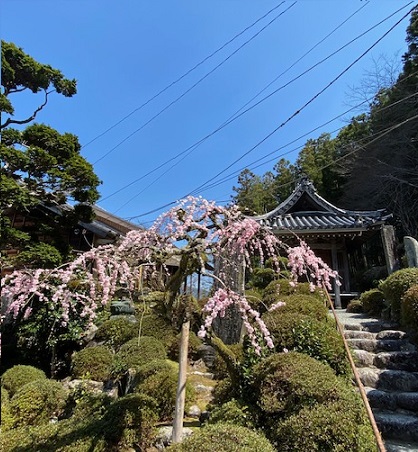 3月22日