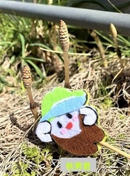 春の日