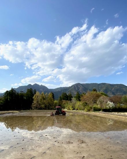 4月15日　田植え始まります