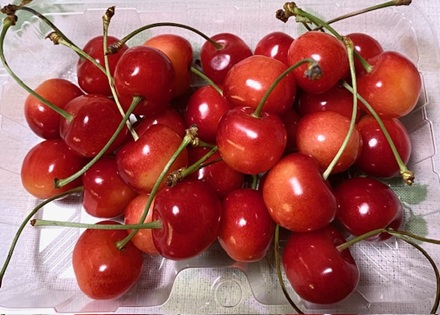 6月19日