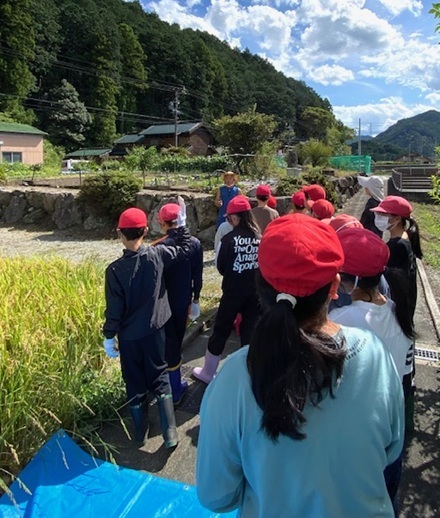 9月22日　粥見小学校五年生14名稲刈り体験学習の日