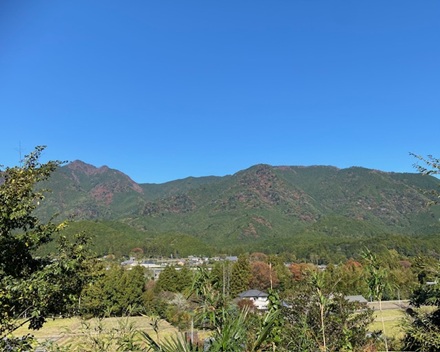 11月15日　七五三の日