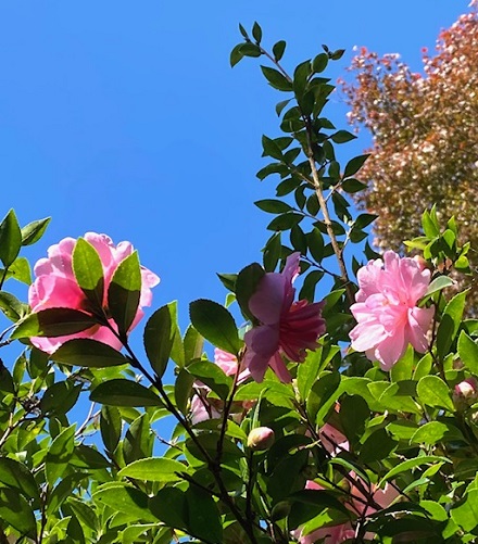 11月28日