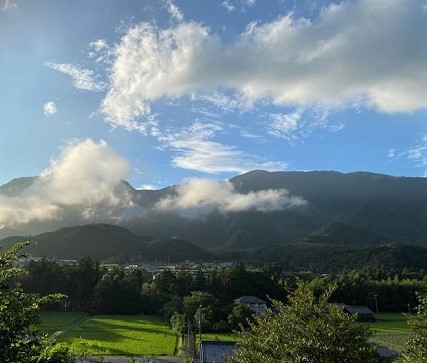 7/11日(火)、12日(水)　スイートコーンの販売休止について