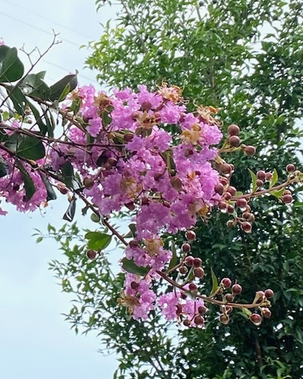 8月18日