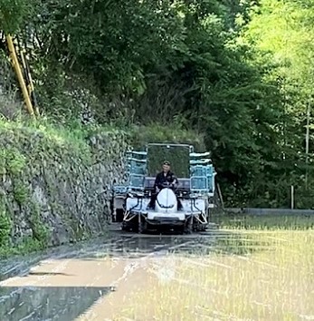 2023年度 田植え無事終了しました