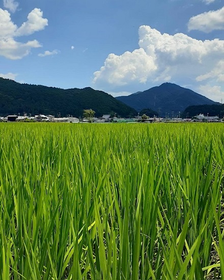 7月23日