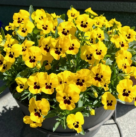 11月19日