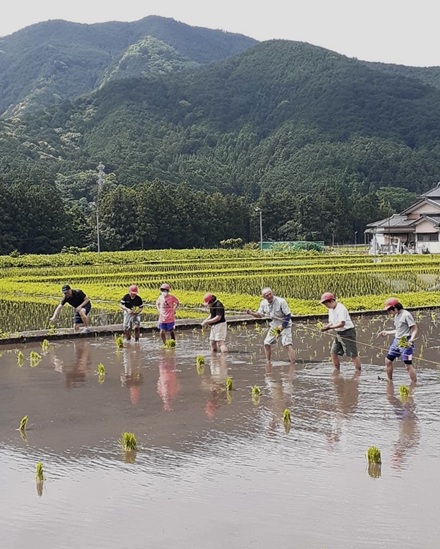 6月4日　宮前小学校五年生(10名)田植え体験学習の日