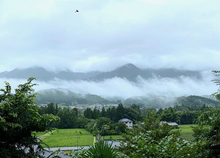 7月12日　7/13(土)香肌横丁八十八屋　営業内容変更します