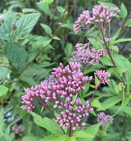 10月7日