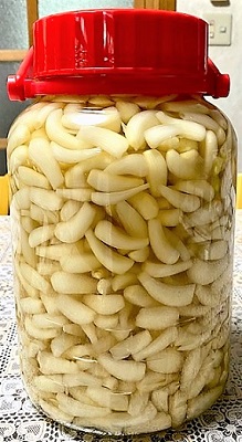 食べ物色々