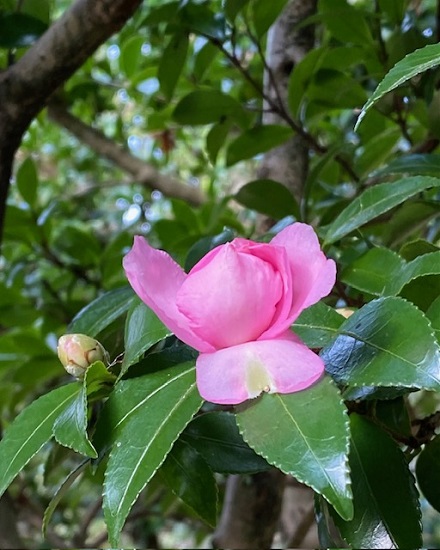 11月23日