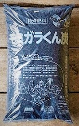 花粉の時期